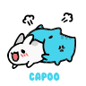 Capoo����