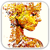 ��Ƭ����app