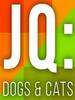 JQè���ʴ���Ϸ