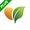 ��Ȥ����plus