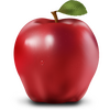 ��ƻ����дʶ����