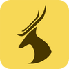 ԥ¹������app