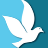 ��Ѷ��app
