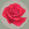õ�廨԰RosasGarden