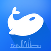 С����app