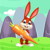 BRAVE BUNNY(�¸ҵ�����)