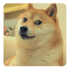 �����ս�PLUS����(��δ����)