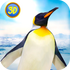 �������ģ����(penguin park 3d)v7.6.0��׿��
