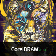 CorelDRAW Graphics Suite 2019۰