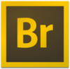 Adobe Bridge2019δ���ܰ�