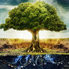 �ϴ���ɫ��-·����������ѧ��������