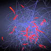�ϴ���ɫ��-���ӹ켣�������߶�������