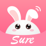 sure�ն�ͼ��