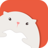 ����OBS for mac