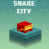 �߳ǹ���Snake City