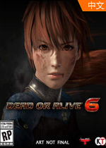 6(DEAD OR ALIVE 6)