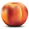 �Ϲϴ�����ϰ��