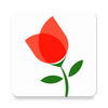 �ʻ��ٵ���