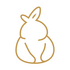 �˲ι���1.0.0