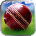 WorldCupCricket(3D�������籭)