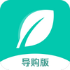 Ҷ�ӵ���appͼ��