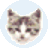 �ļ�������EF File Catalog