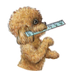 ƤƤ�Dapp