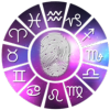 ָ��ռ��