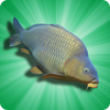 ���㴹��(Arcade Carp Fishing)