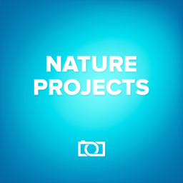 ׃ⱳFranzis NATURE projects