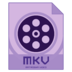 MKV��Ƶת����(Dimo MKV Video Converter)
