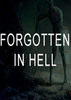 �������ڵ�����FORGOTTEN IN HELL