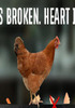 ������Ҳ��(egg is broken. heart is too.)