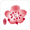 China Airlines���A���գ�̨��棩
