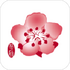 China Airlines���A���գ�̨��棩1.0.28
