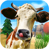 Talking Bull(˵���Ĺ�ţ)