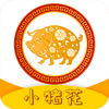 С����app
