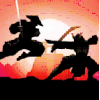 Shadow Combat Fight(Ӱ�Ӹ�����)