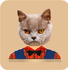 Cat Stickers����Ƭèͷ��ֽ��