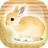 Rabbit(Ϸ)v1.4 ׿