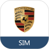 ��ʱ���ǻۻ���SIM