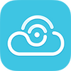 bluecam���������app