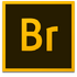 Adobe Bridge CC 2019�����ر��V.9.0.3.279 2026�ٷ����İ�