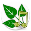 nature sound ����[֮������˯�ߣ�