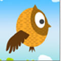 Crazy Owl(èͷӥ)v1.2.0.2