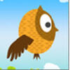 Crazy Owl(����èͷӥ)