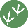 �����app