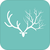 ��·ɭ��app