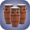 Real Percussion�������