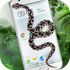 ������Ļ��app3.0